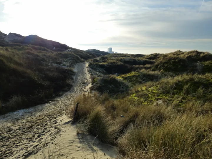 Oostnieuwkerke duinen wandeling in de koude (België)